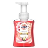 Sagrotan Samt-Schaum Seife Kirschblüte & Rose – 1 x 250 ml...
