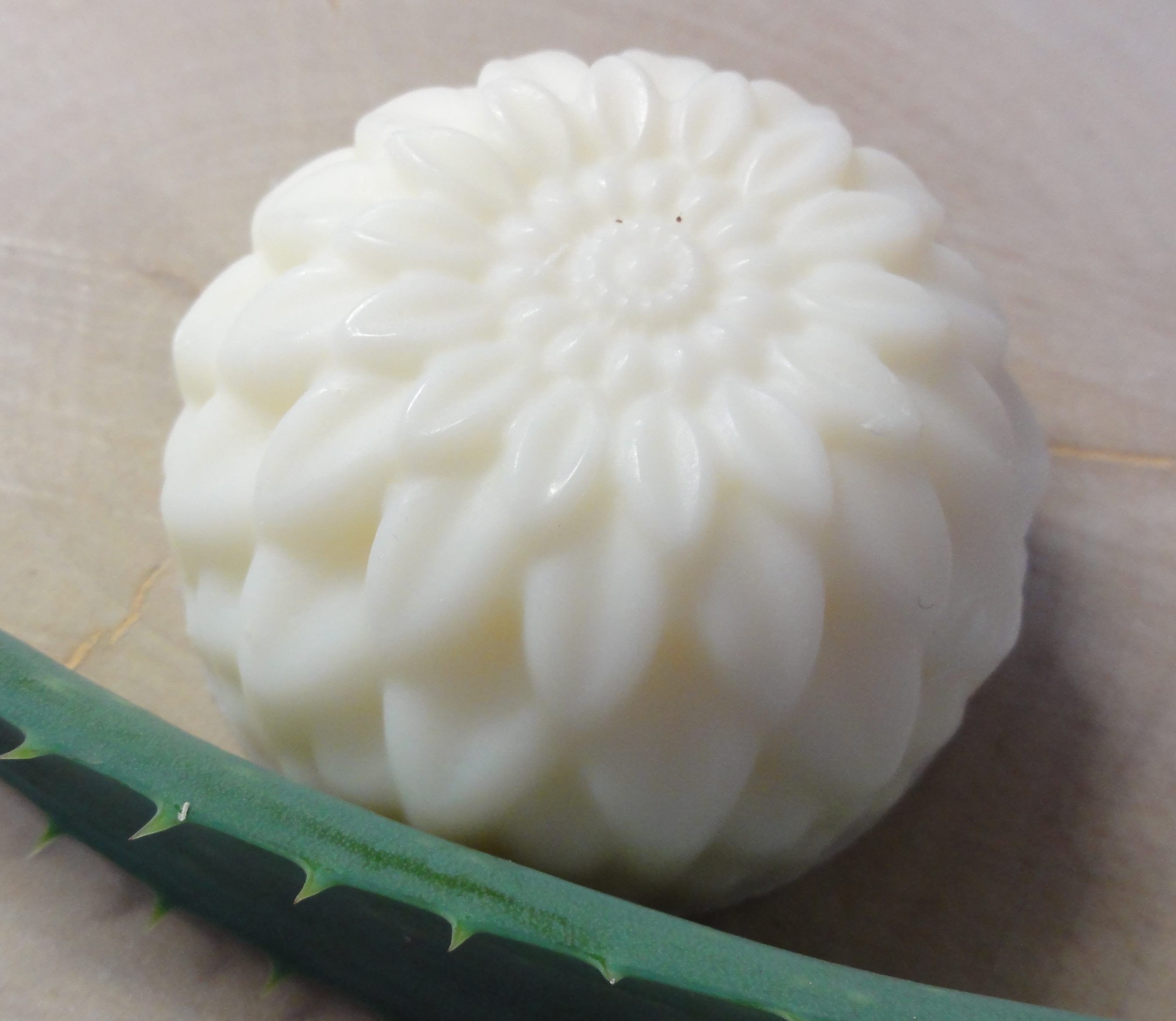 Aloe Vera Sheabutterseife Sheabutterseife