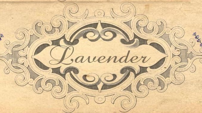 Banderole Lavendel Banderole für Lavendelseife